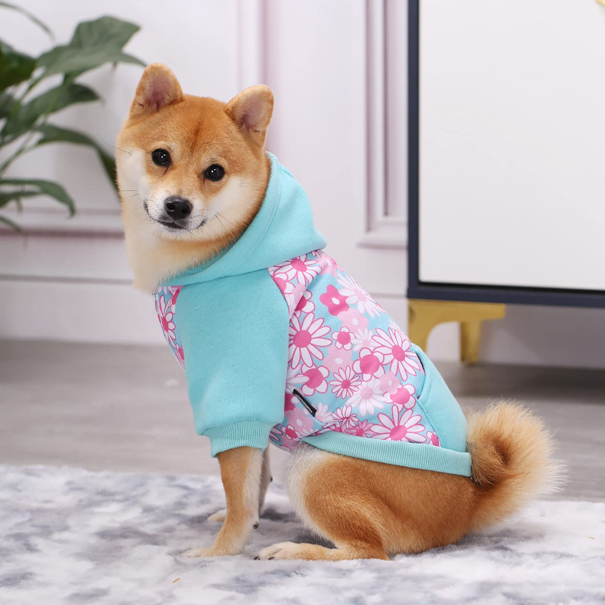 Blue Puppy Dog Hoodies for Small Medium Dogs, Christmas Hooded Sweatshirt with Pocket Pet Cat Hoody Clothes Sweaters Fleece Coat Dog Costume Winter