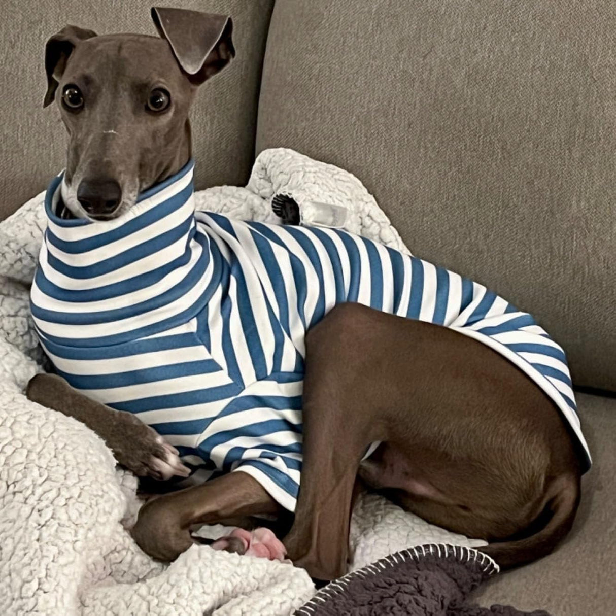 Turtleneck Dog Shirt Cute Doggie Embroidery Super Soft Dog Sweatshirt Stretchy Striped Puppy Pullover for Cats Small Medium Large Dogs (6X-Large, Blue Striped)