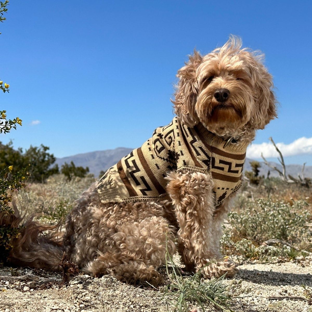 PENDLETON Westerley Knitted Dog Sweater – Size Small (10"–14"), Cozy Pullover in Iconic Westerley Pattern, Warm Stylish Knit for Fall & Winter, Big Le-BARK-ski Collection