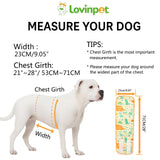 LovinPet 3-Layer Dog Belly Warmer Calming Wrap, Adjustable Abdominal Protector for Medium and Large Dogs, Anti-Chafe Moisture Barrier, Memory-Foam Core + Mesh Lining, Dinosaur Print,White