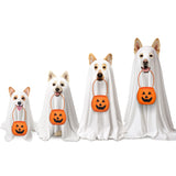 Huhumy 2 Pcs Halloween Dog Costumes with Non Woven Pumpkin Bags White Ghost Costume for Dog Cat Ghost Cosplay Clothes, Cute Party Cape for Halloween Cosplay Party(Puppy)