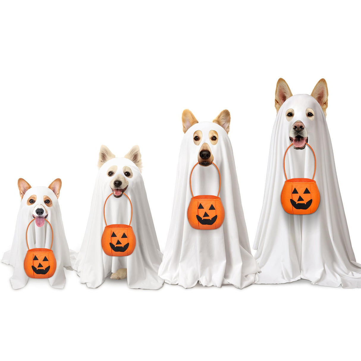Huhumy 2 Pcs Halloween Dog Costumes with Non Woven Pumpkin Bags White Ghost Costume for Dog Cat Ghost Cosplay Clothes, Cute Party Cape for Halloween Cosplay Party(Puppy)