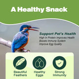 LIWII Dried Mealworms - 5 LBS - 100% Natural Non-GMO High Protein - Bulk Mealworms for Wild Birds, Chickens, Pet Treats & Reptile Food