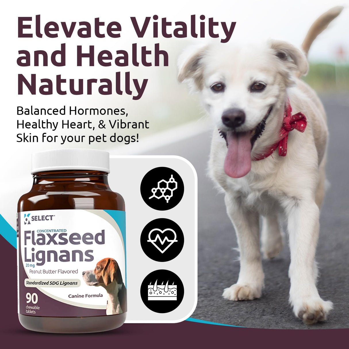 K9 Select Concentrated Flaxseed Lignans for Dogs, 20mg 90 Tablets, Peanut Butter Flavored Chewable, Impove Coat