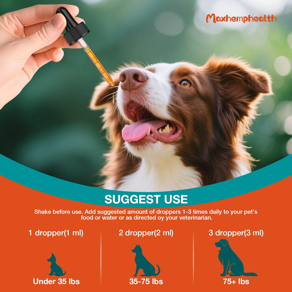 Dog Yeast Infection Treatment : Natural Yeast Infection Drops for Dogs - Anti-Yeast Drops for Itchy Ears, Paws & Skin Allergy Relief, Herbal Supplement for Dog Ear Yeast Infection Treatment, 2 Oz