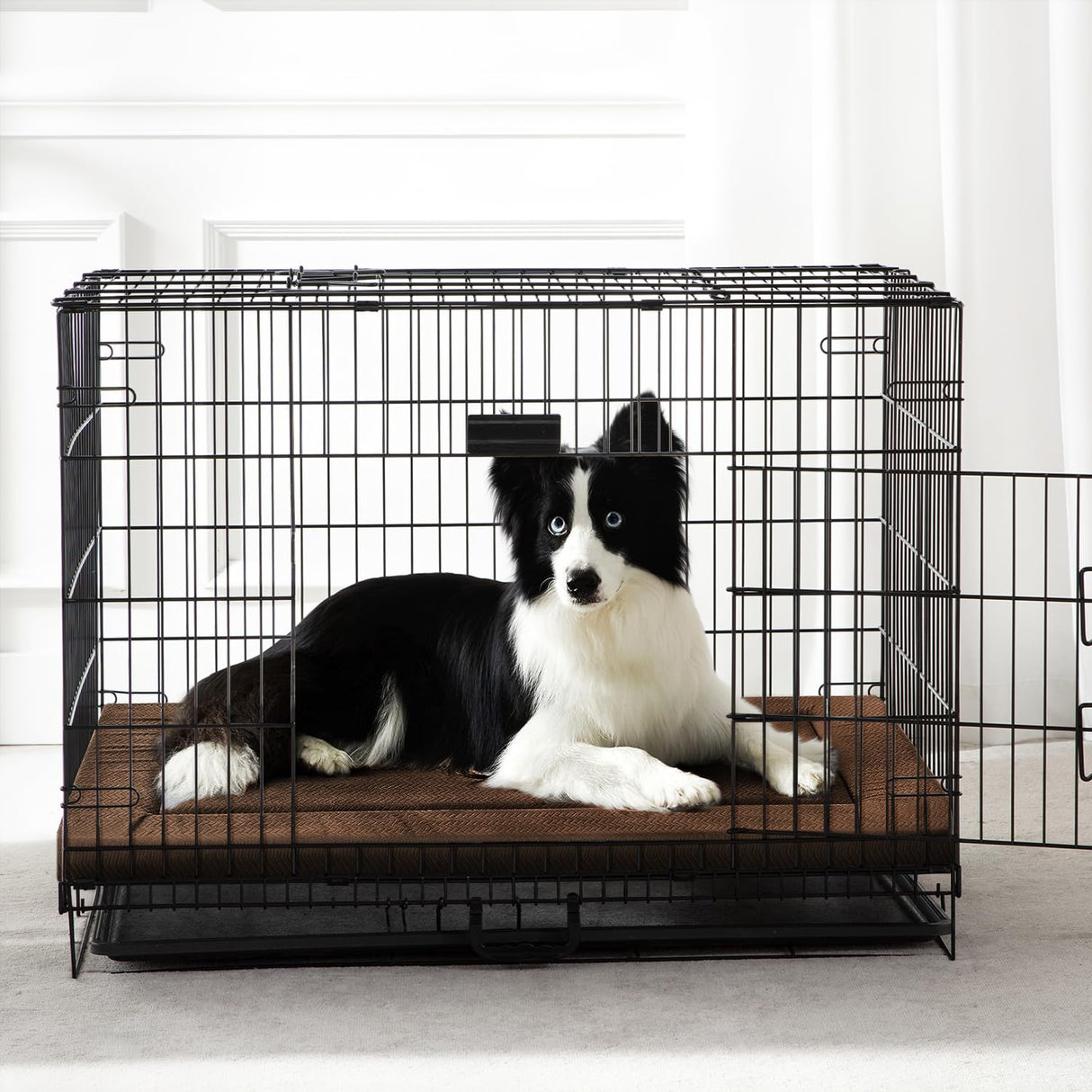 WESTERN HOME Dog Bed for Crate, High Resilience Foam Dog Crate Mat Kennel Pad with Soft Wavy Plush Comfortable Anti-Slip Washable Bed for Large Medium Small Dogs & Cats
