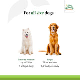 Terry Naturally Curacel Curcumin - Health Supplement for Dogs - Pet Curcumin Dog Supplies - Cellular Health Supplement with Antioxidants - 60 Softgels
