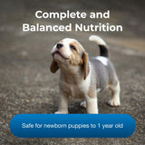 Pet-Ag PetLac Powder for Puppies - 10.5 oz, Pack of 4 - Puppy Milk Replacement Powder for Puppies Newborn to Six Weeks Old - Easy to Digest