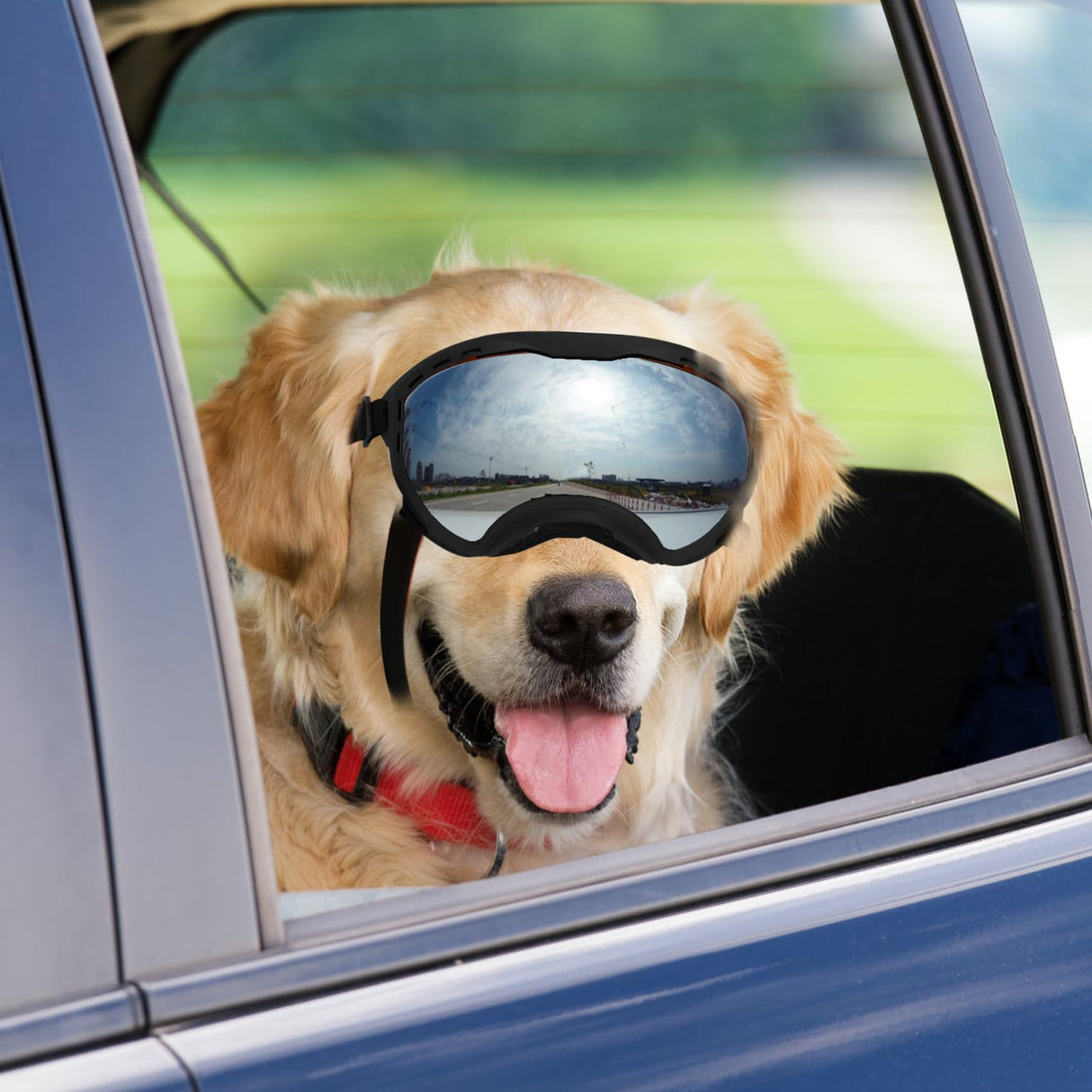 Flantor Dog Goggles for Large Dogs, UV Wind Dust Fog Protection, Soft Frame Adjustable Dog Sunglasses, Summer Driving & Winter Snow Eyewear, Tactical Pet Glasses with Elastic Strap (Black)
