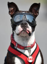 NAMSAN Dog Goggles Small Breed, UV-Protection Doggie Sunglasses for Small to Medium Dogs, Soft Doggy Eye Protection, Anti-Fog Anti-Dust Windproof Snowproof, Adjustable Straps, Lens Silver