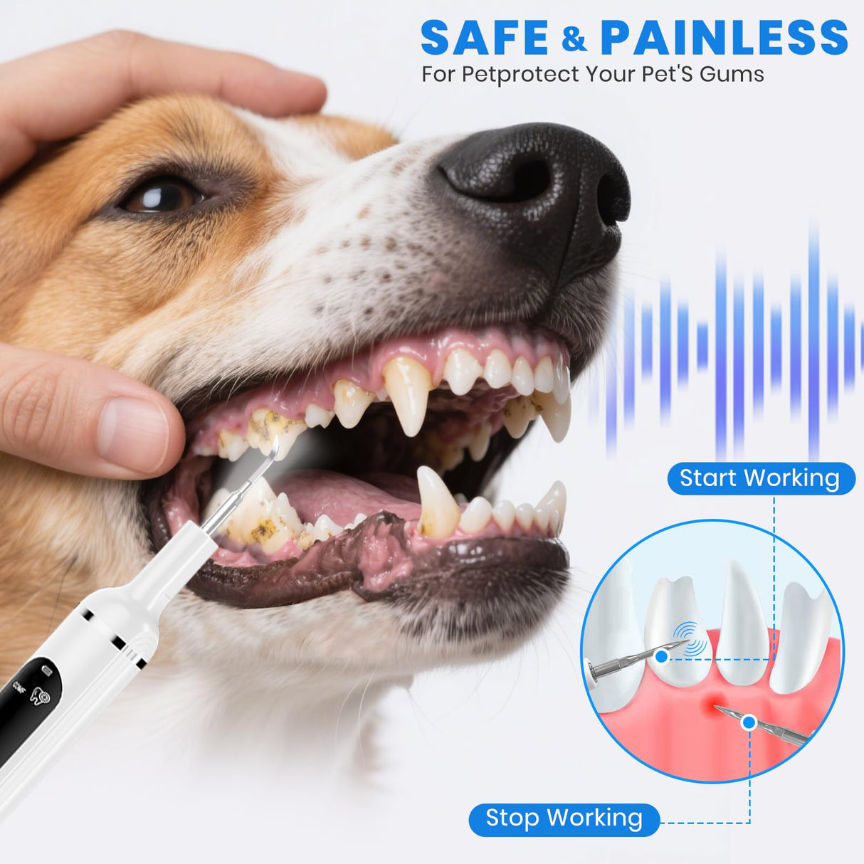 PATWING Dog Plaque Remover for Teeth,Pet Tooth Cleaner with LED Light,Cleaning Kit for Tartar and Stains,5 Adjustable Modes,Pet Teeth Cleaning kit,Suitable for Dogs and Cats (White)