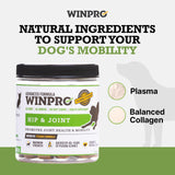 WINPRO Hip & Joint Supplement for Dogs - Plasma Powered Soft Chews for Joint Health & Mobility – Fast-Acting with Collagen & Natural Ingredients for Dogs of All Breeds – 60 Chews