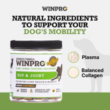 Load image into Gallery viewer, WINPRO Hip &amp; Joint Supplement for Dogs - Plasma Powered Soft Chews for Joint Health &amp; Mobility – Fast-Acting with Collagen &amp; Natural Ingredients for Dogs of All Breeds – 60 Chews
