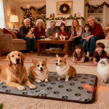 QUASILOVE Puppy Heating Pad for Whelping New Born Dog Heated Bed,Heated Puppies Bed,Pet Heated Cat Bed,4 Auto Shut Off Timer,9 Level Heater Large 34x21 in