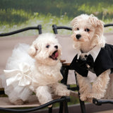 Dog Dress,Pet Wedding Dress Princess Formal Tutu Skirt with Bowknot,Puppy Birthday Party Outfit Apparel Girl for Dogs Cats (White Lace, XX-Large)