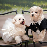 Dog Dress,Pet Wedding Dress Princess Formal Tutu Skirt with Bowknot,Puppy Birthday Party Outfit Apparel Girl for Dogs Cats (White Lace, XX-Large)