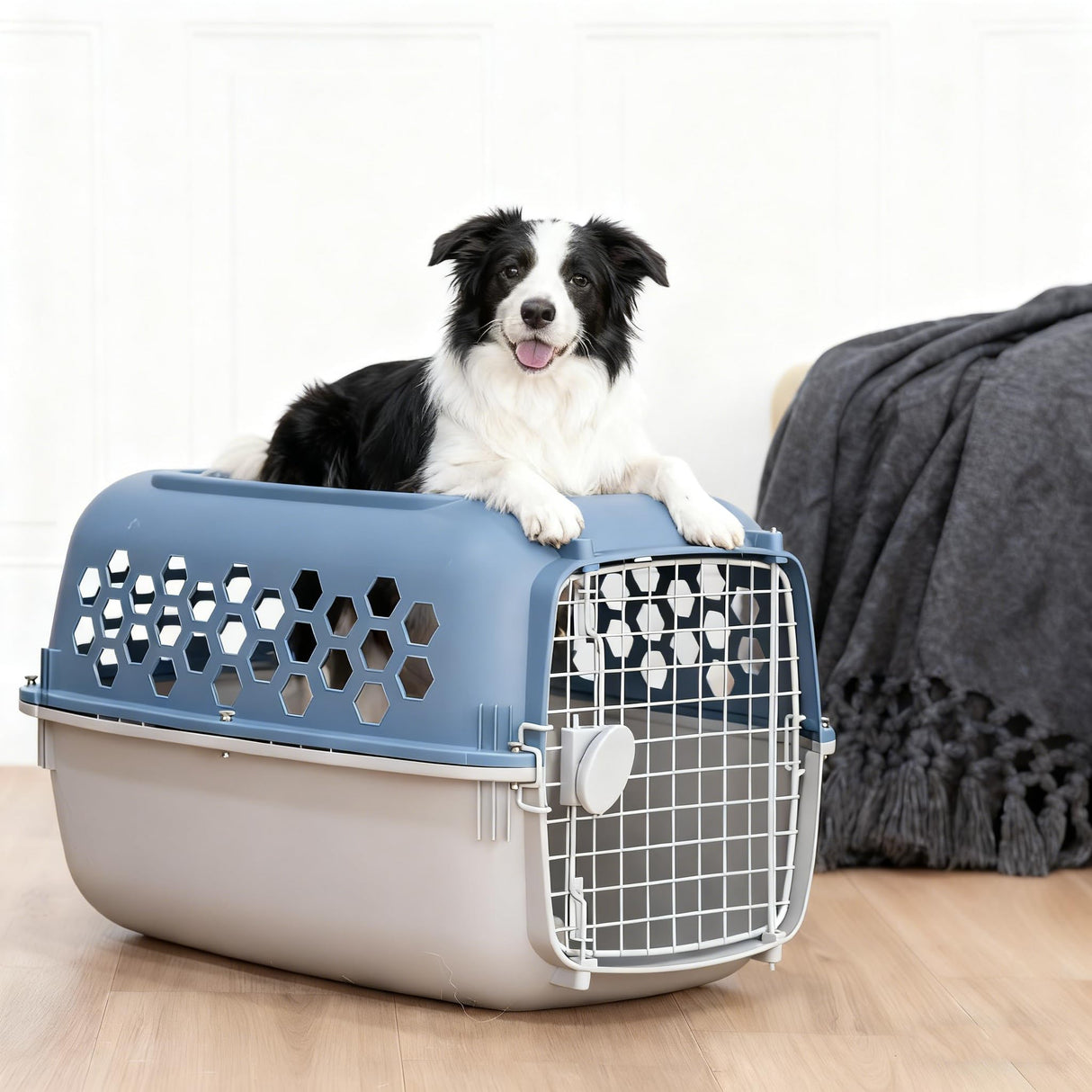 24" Pet Kennel Carrier for Small Dogs & Cats, Portable Travel & Home Use Two-Door (Top/Front Loading) Plastic Crate for 15-25 lbs Pets, Durable Blue