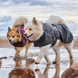 Hurtta Mudventure ECO Dog Coat, BlackBerry, 10 in