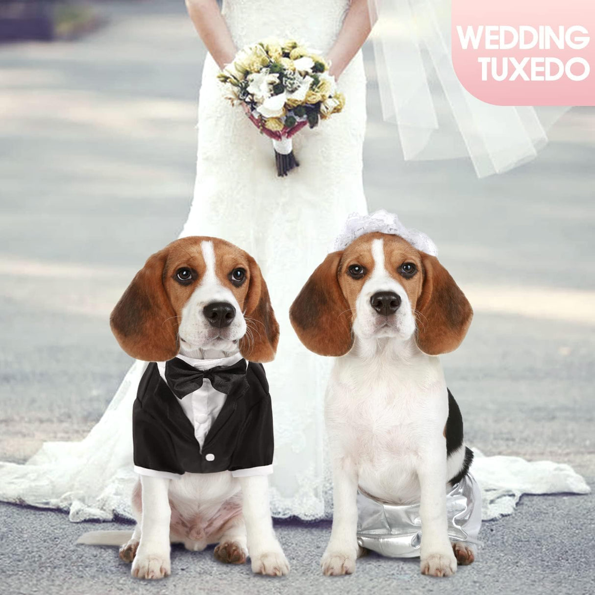 Kuoser Dog Tuxedo,Dog Wedding Suit with Bow Tie Formal Dogs Tux Pet Wedding Party Birthday Costume,Doggy Valentines Christmas Halloween Graduation Outfit Cosplay for Small Medium Large Dogs,Black 2XL