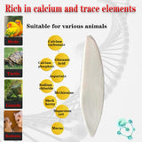Clyairmao Bird Cuttlebone for Parakeets Cuttlebone for Birds - 100% Natural Cuttlefish Bone Bulk Chew Toy Bird Bites Calcium Stone for Canaries Tortoises,Snails,Reptiles,Parrots,Cockatiel