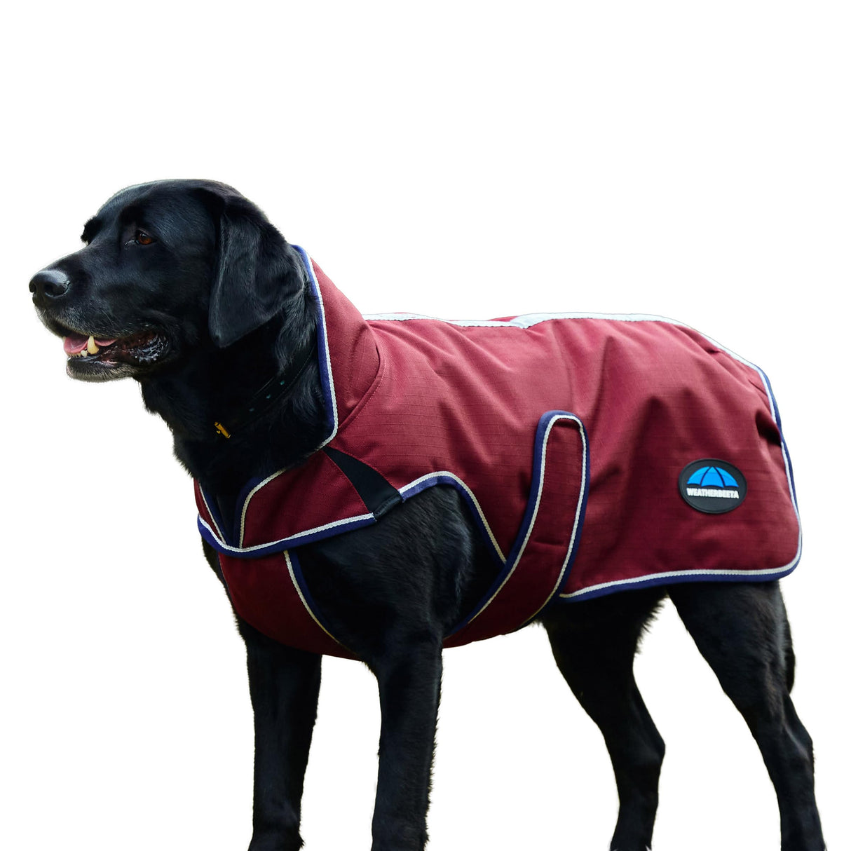 WeatherBeeta ComFiTec Premier Deluxe Waterproof Dog Coat, Burgundy/Navy, 30"