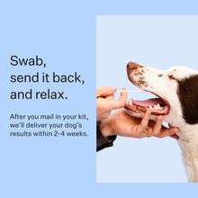 Load image into Gallery viewer, Wisdom Panel Breed Discovery Dog DNA Kit: Most Accurate Dog Breed Identification, Test for 365+ Breeds, MDR1 Health Test, Ancestry, Relatives
