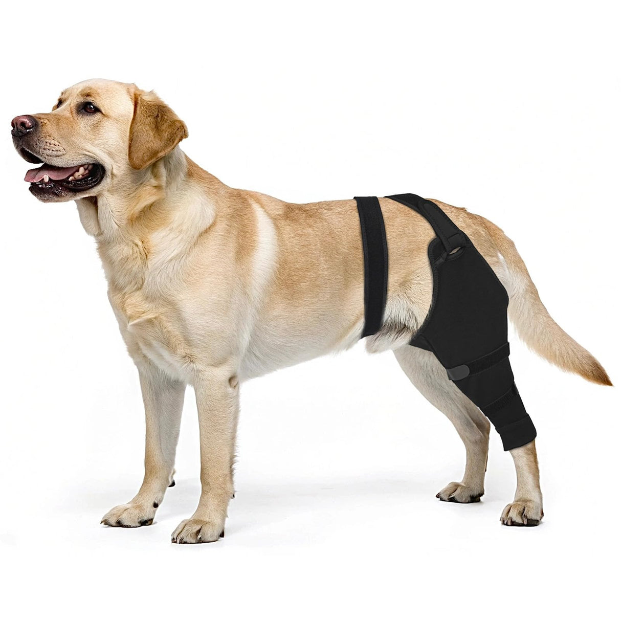Dog Rear Leg Sleeve to Prevent Licking - Comfortable Recovery Sleeve for Back Hind Leg, Wound Recovery After Surgery for Torn ACL/CCL TPLO, Cone Alternative,Upgraded Threaded Opening (Black)