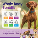 Dog Multivitamin Chewable - 22 in 1 Dog Vitamins and Supplements with Green Lipped Mussel & Omega 3 for Joints, Skin & Coat, Immune System - Senior & Puppy Multivitamin for Dogs - 60 Beef Chews
