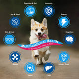 NATURE TARGET Dog Vitamins Powder, Probiotics & Digestive Enzymes for Gut Health, Glucosamine & Chondroitin & Omega 3, Complete Supplement for Homemade Dog Food, Joint & Skin & Immune Support