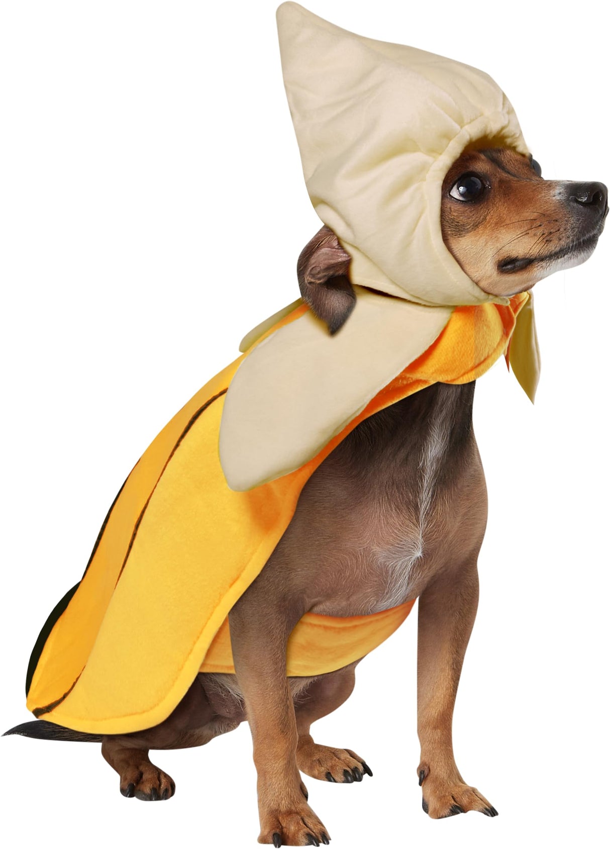 Rubies Banana Pet Costume for Dogs or Cats, Small