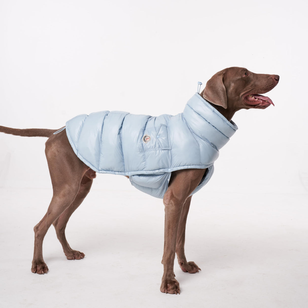 ChoChoCho Winter Dog Jacket, Cold Weather Coats, Lightweight, Thermal Insulated, Water-Resistant, Adjustable Dog Jackets with Leash Access for Small Medium Large Breeds (Blue, 3)