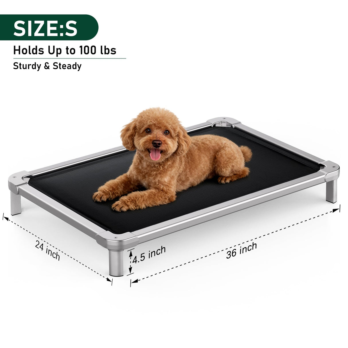 Senneny Chew Proof Elevated Dog Bed Small Sized Dog, Raised Cot for Indoor Outdoor Camping, Heavy-Duty Chew Resistant Hidden Fabric Indestructible Dog Bed, S, 36" L x 24" W x 4.5" H