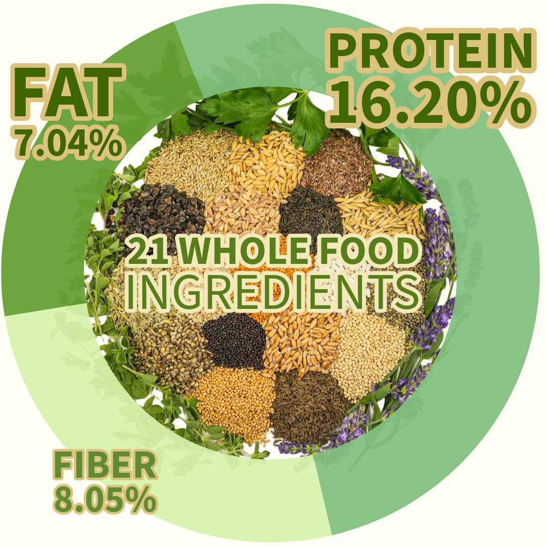 KikiBirds Premium Parrot Food| Protein-Rich Low-Fat Formula | Cockatiel, Conure, Lovebird, Quaker, Parrotlet | No Corn, Soy, Peanuts | Gourmet Whole Grains & Seeds | Daily Maintenance Blend (3 lbs)