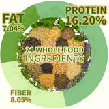 KikiBirds Premium Parrot Food| Protein-Rich Low-Fat Formula | Cockatiel, Conure, Lovebird, Quaker, Parrotlet | No Corn, Soy, Peanuts | Gourmet Whole Grains & Seeds | Daily Maintenance Blend (3 lbs)