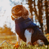 Reflective Dog Jacket Water Resistant with Harness Built in and Warm Fleece Inner Lining, Windproof Dog Coat for Cold Weather Jackets for Small Large Medium Dogs - Red M