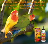 VITOFARMA Multi-Vitamin for Birds, High-Potency Vitamin & Mineral Supplement for Pet Birds 2.0 Ounce