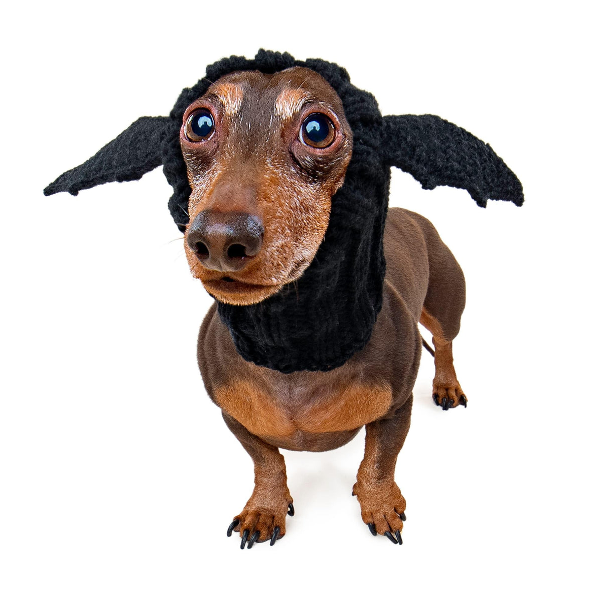 Zoo Snoods Bat Wing Dog Costume - Warm Crochet Snood Wrap for Pets, Neck Ear Cover Protection, Halloween Winter (Small)