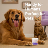 HICC Pet Teeth Cleaning Wipes for Dogs & Cats, Vet-Recommended Remove Bad Breath, Plaque, Tartar Buildup Dog Finger Toothbrush Wipes, Dog Tooth Brushing Kit, Pet Toothpaste & Toothbrush Alternatives