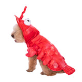 Mogoko Dog Cat Lobster Costume, Pet Halloween Cosplay Dress, Puppy Red Hoodie Warm Outfits Clothes(XL Size)