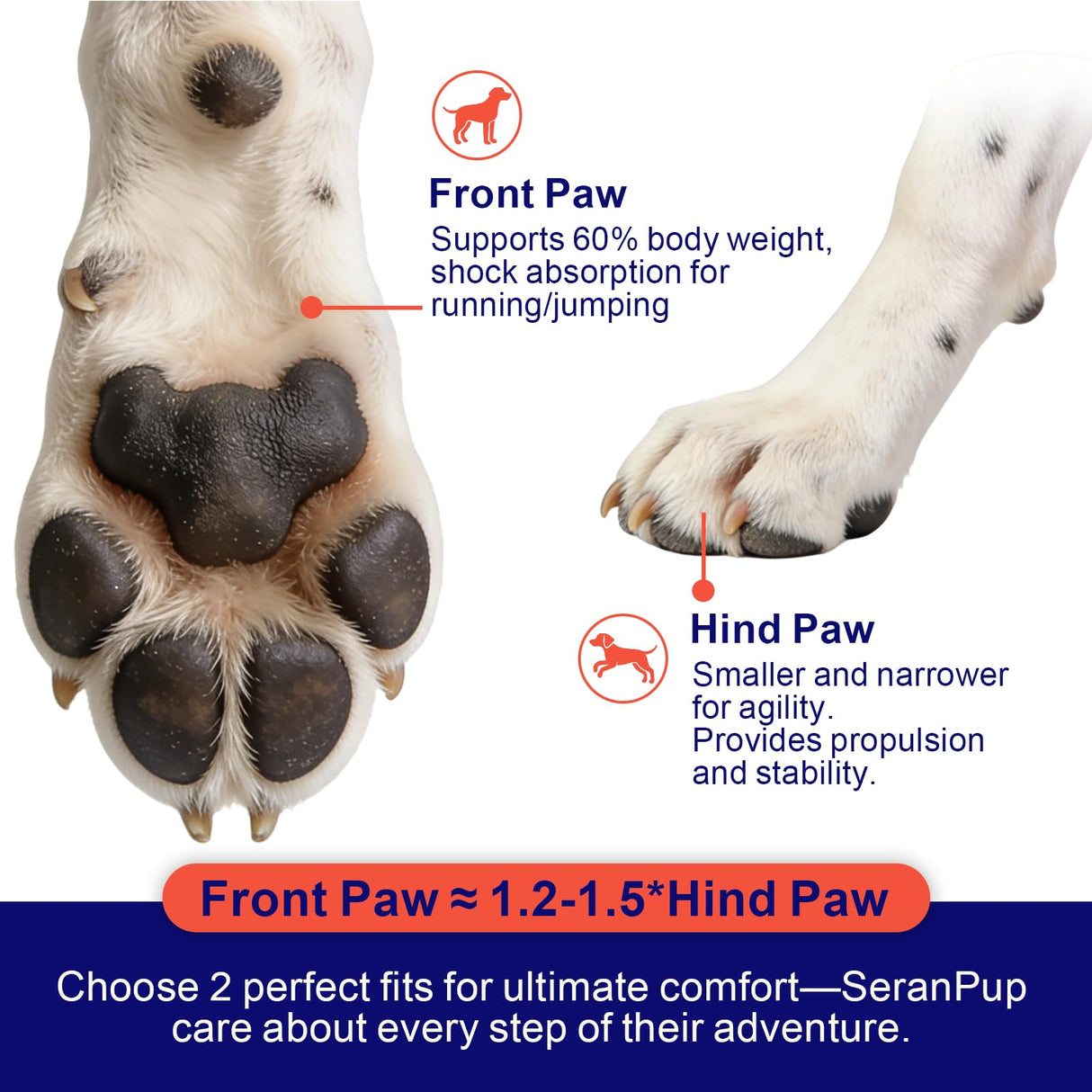 SeranPup 2 Pack Dog Boots for Medium to Large Dogs, Non-Slip Dog Shoes with Reflective Straps for Hot Pavement&Winter Snow, Breathable Water-Resistant Paw Protector with Anti-Skid Sole, Size5, Black