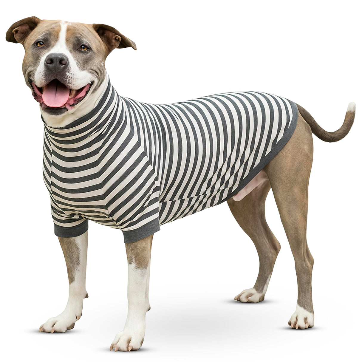 Tooth & Honey Dog Shirt for Large Dogs - Soft Cotton Spandex Pullover with Mid-Length Sleeves, Full Belly Coverage for Allergies, Skin Sensitivity & Lightweight Summer Dog Clothes - XL