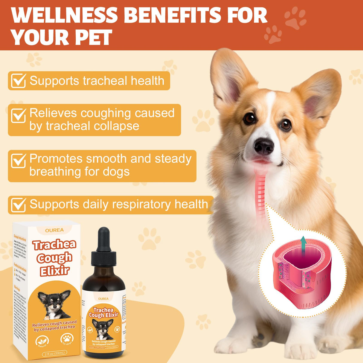 Ourea Collapsed Trachea Treatment for Dogs, Dog Cough Treatment, Trachea Cough Elixir, Natural Herbs Help Dogs Breathe Smoothly and Support Tracheal & Respiratory Health (2 fl oz)