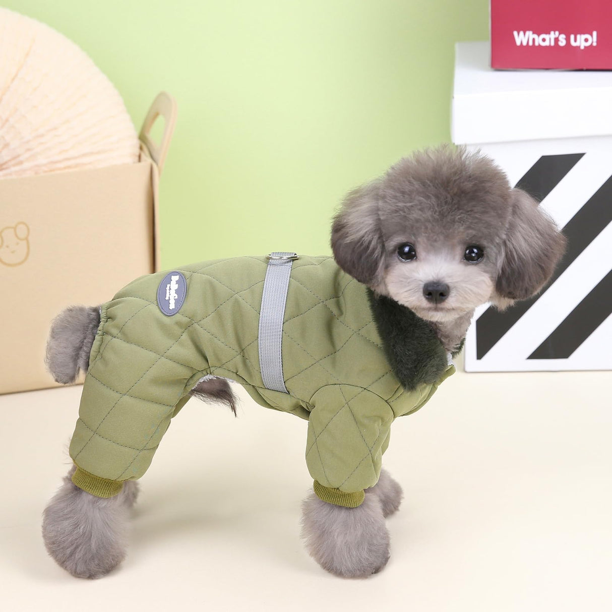 Izefia Dog Coat Jacket Windproof Cold Weather Coat 4 Legs Warm Dog Jumpsuit Winter Thick Clothes Snow Proof Coat Cotton Dog Coat for Small Dog Medium Dog Cat Green S