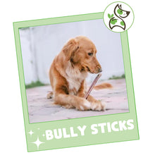 Load image into Gallery viewer, Nature Gnaws Bully Sticks for Dogs 11-12" (8oz) - Mixed Thickness - Long Lasting for Aggressive Chewers and Large Dogs - Natural Beef Dog Chew Bones
