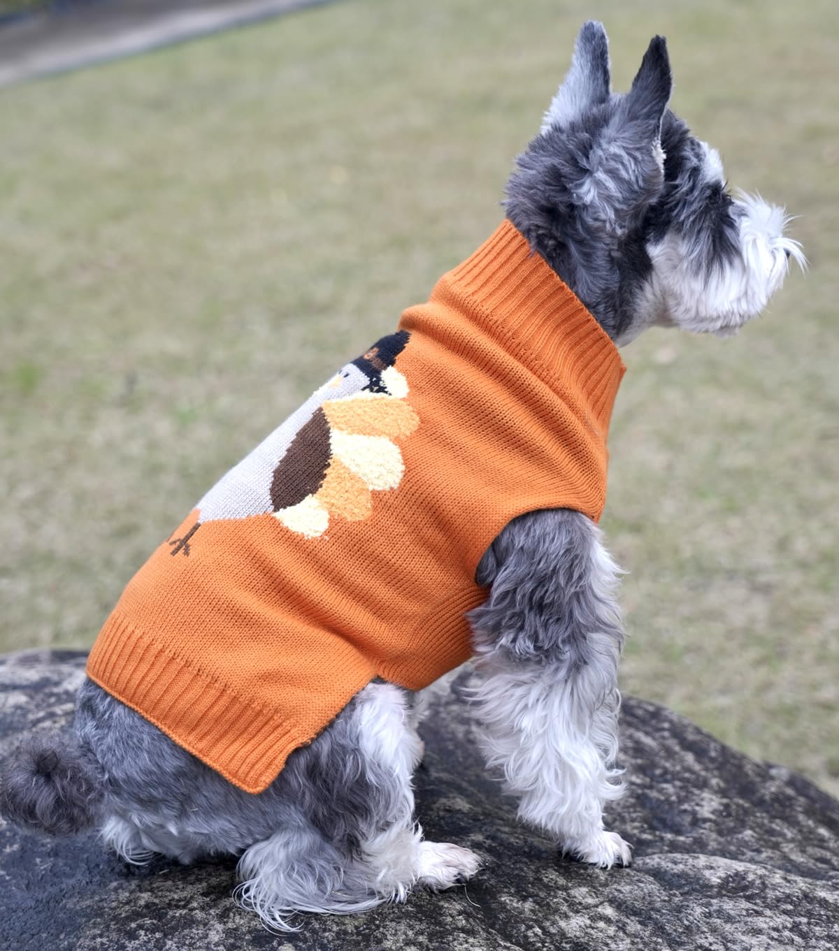 Lanyarco Thanksgiving Fall Dog Clothes Outfit Costume, Turkey Pet Dog Sweater for Large Dogs, X-Large (XL) Size 20" Back Length Orange