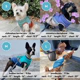 Gooby Mountaineer Dog Jacket - Mint, X-Small - Warm Zip Up Coat with Lift Handle and Dual O Ring Leash Water Resistant for Small to Medium Dogs