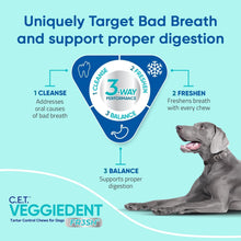 Load image into Gallery viewer, Virbac CET Veggiedent FR3SH Tartar Control Chews for Large Dogs Over 66 Pounds, Plant-Based Formula, 30 Count Bag
