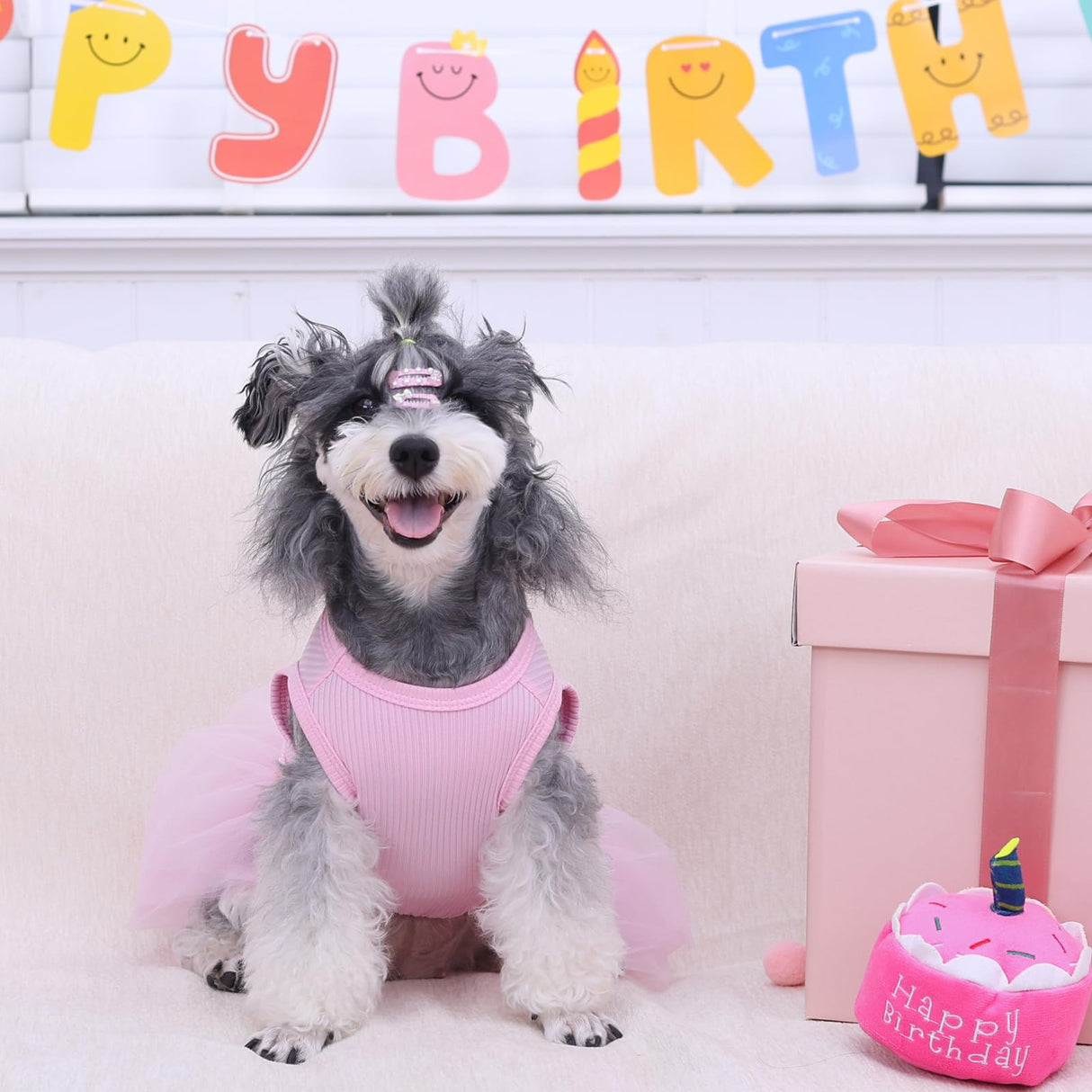 CuteBone Pink Tulle Skirt Dog Wedding Bridesmaid Dress for Puppy with Lace Trim at Waist - Comfortable, Stylish, and Perfect for Special Occasions HBQ01L