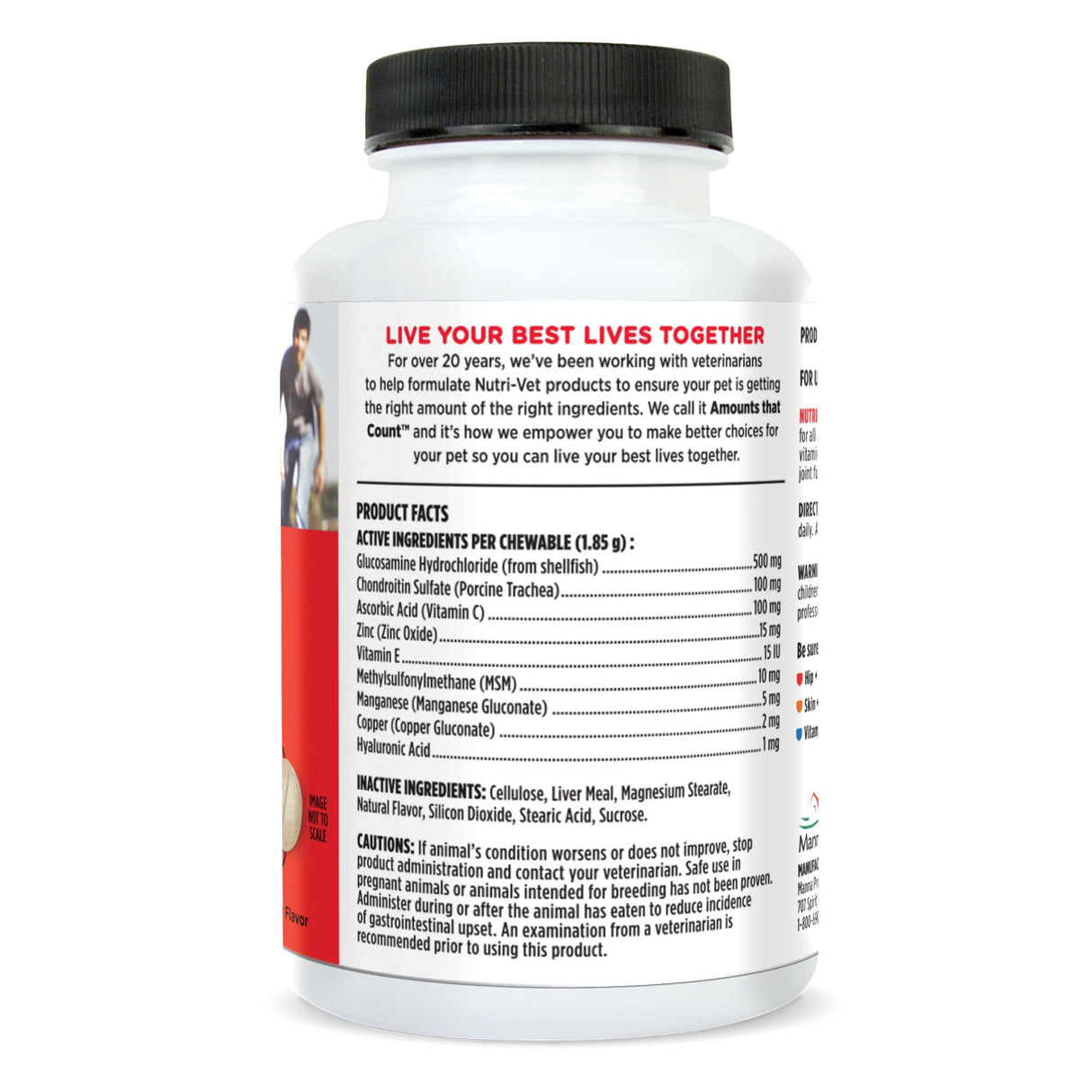 Nutri-Vet Hip & Joint Regular Strength Chewable Dog Supplements, Formulated with Glucosamine Chondroitin, Pet Supplies, Joint Supplement for Dogs, Pet Care, Puppy Essentials, 120 Count