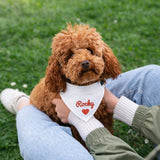 KOTAGI Custom Dog Scarf Embroidered Name, Personalized Dog Bandana for Small Medium Large Dogs, Anti-loosening Adjustable Dogs Birthday Bandana Cute Pet Costume Accessories